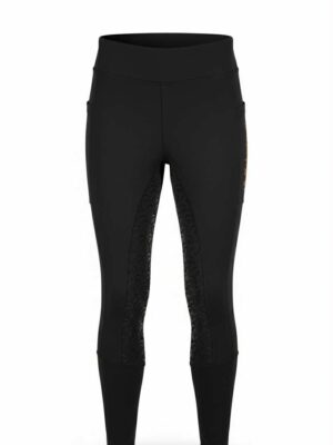 Stallbolagets ridleggings