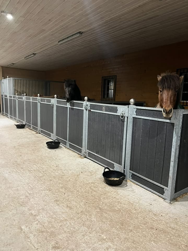 Stallpresentation hos Johannesholms Islandshästar och Hovslageri AB