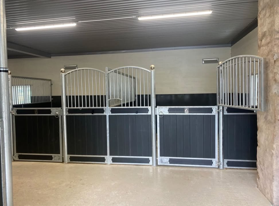 Stallpresentation Stall Kolsta och Maja Wiselquist